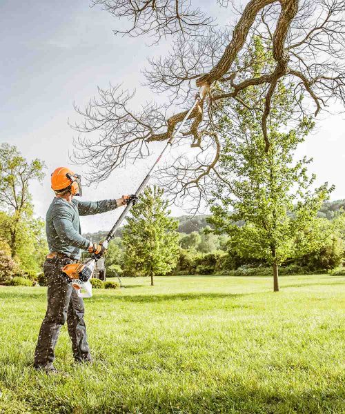 Tree-trimming-from-ground