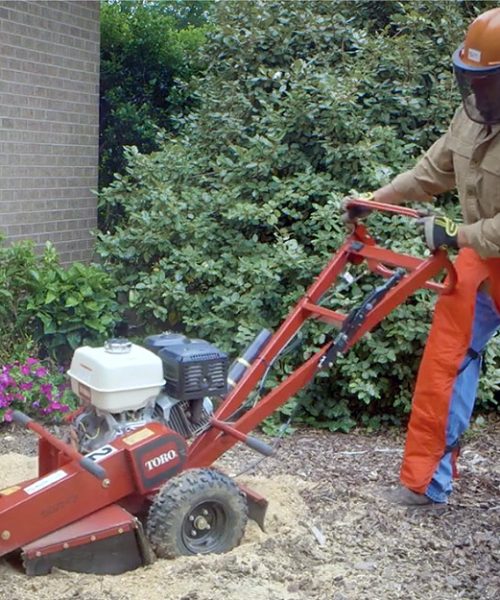 how-to-remove-a-tree-stump-step-7-A